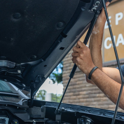 Bonnet Struts For Next Gen Models