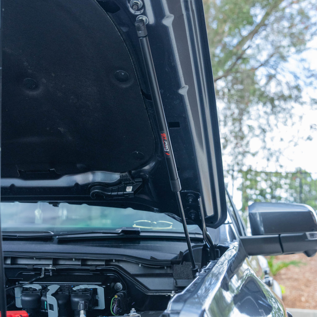 Bonnet Struts For Ford 2022+