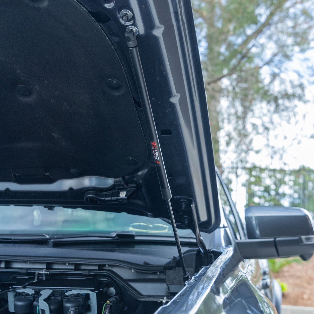 Bonnet Struts For Ford 2022+
